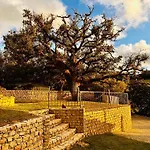 ヴィラ Quinta Boa Vida