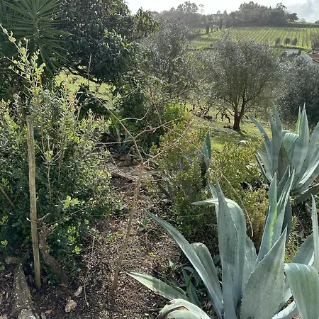 Quinta Boa Vida