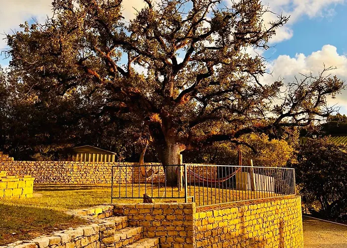 Villa Quinta Boa Vida