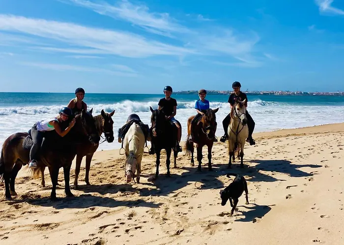 Quinta Boa Vida Alcobaca